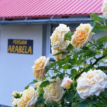 Pension Arabela Bed & Breakfast Harrachov Bagian luar foto