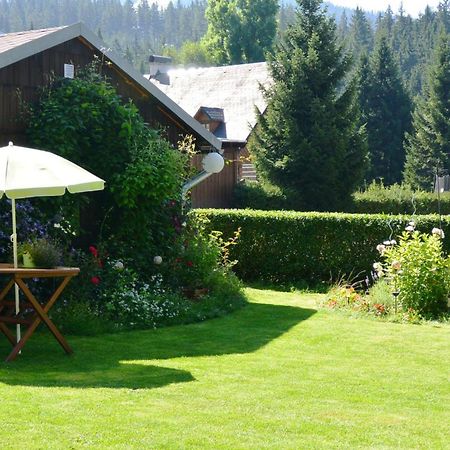 Pension Arabela Bed & Breakfast Harrachov Bagian luar foto