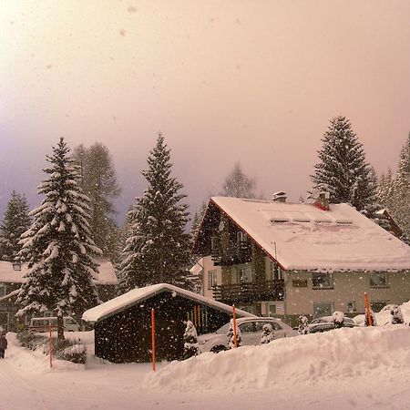 Pension Arabela Bed & Breakfast Harrachov Bagian luar foto