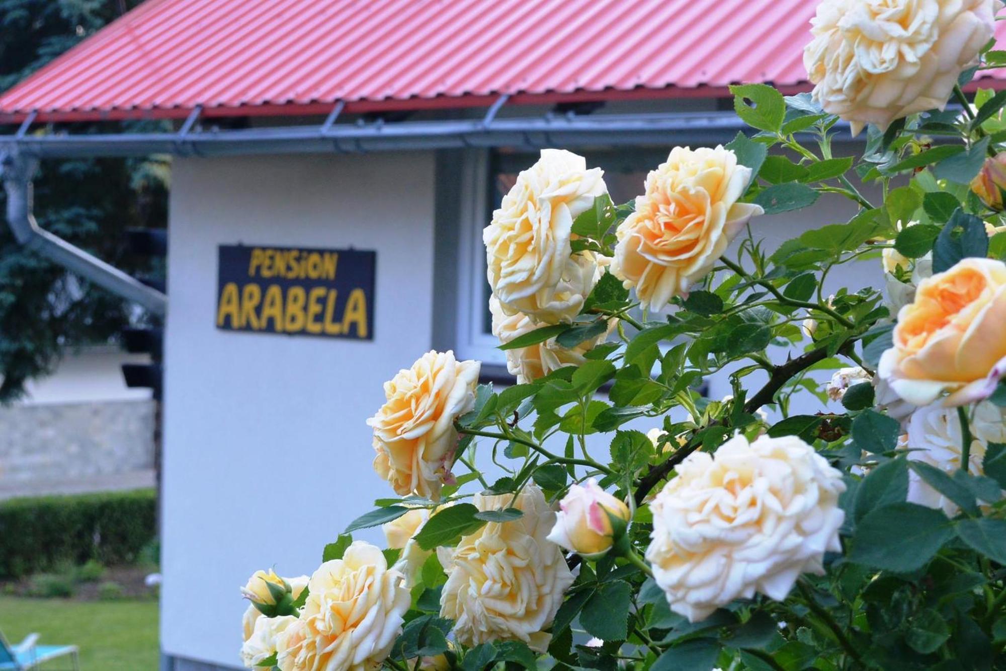 Pension Arabela Bed & Breakfast Harrachov Bagian luar foto