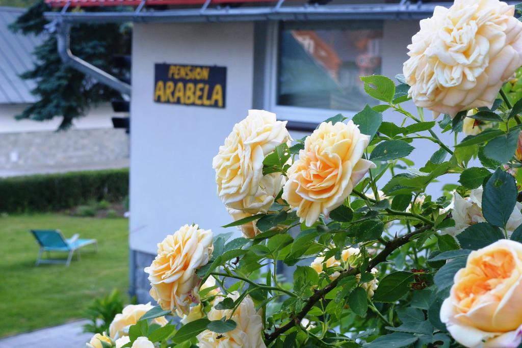 Pension Arabela Bed & Breakfast Harrachov Bagian luar foto